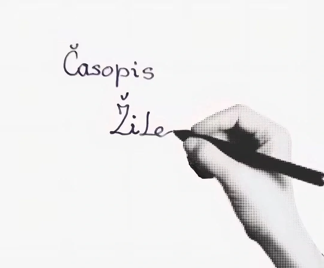 fot. ilustracija za časopis